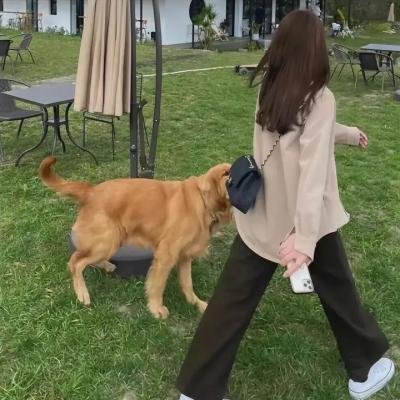 萌娃包青天之铡美案
